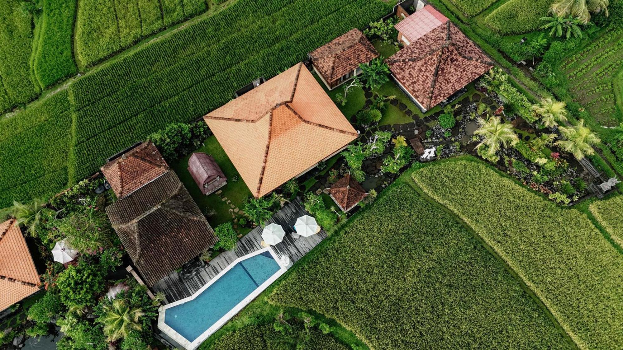Billys Ayodya Villa Perean Extérieur photo