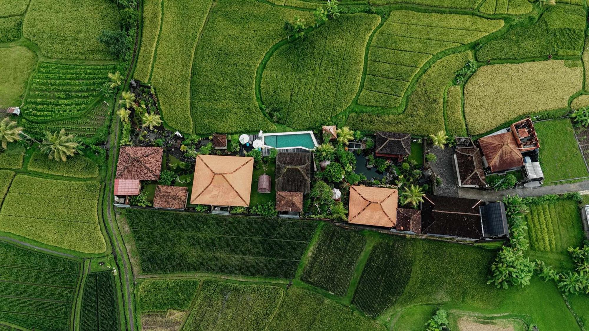 Billys Ayodya Villa Perean Extérieur photo