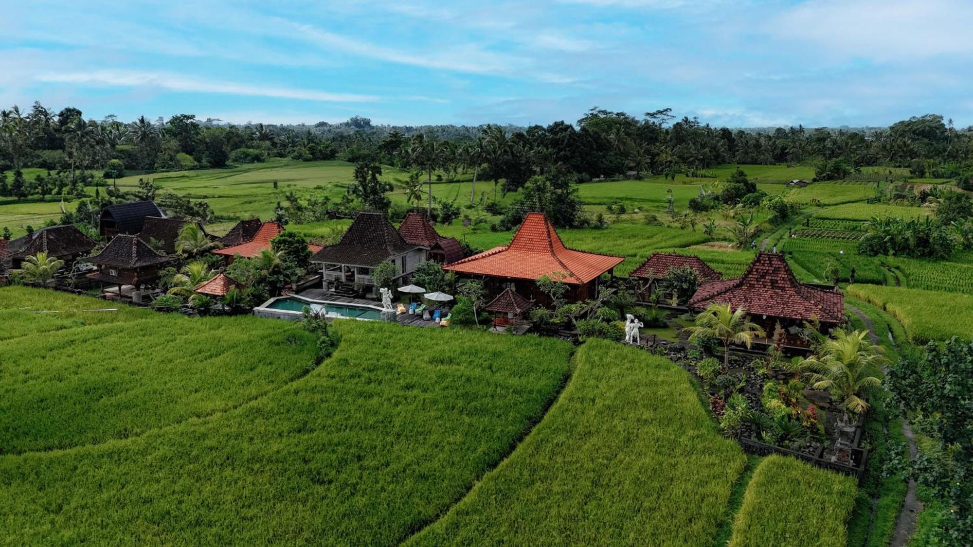Billys Ayodya Villa Perean Extérieur photo